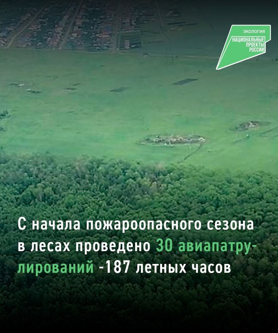 В лесах Татарстана ведётся авиапатрулирование