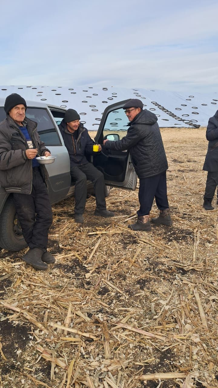 В Мензелинском районе сельские поселения живут в согласии и взаимопонимании с инвесторами