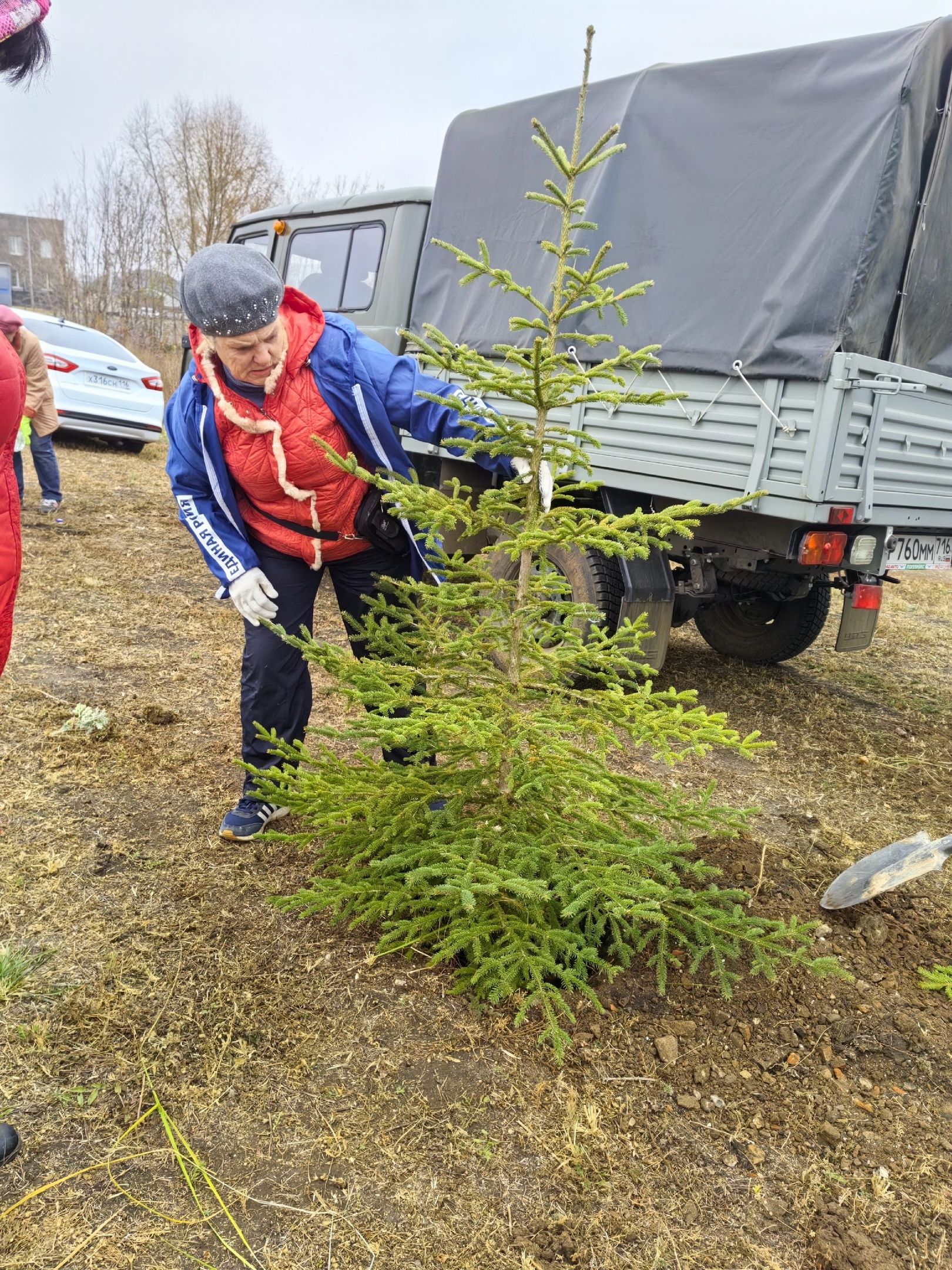 Руководители ТОС Мензелинска посадили саженцы деревьев