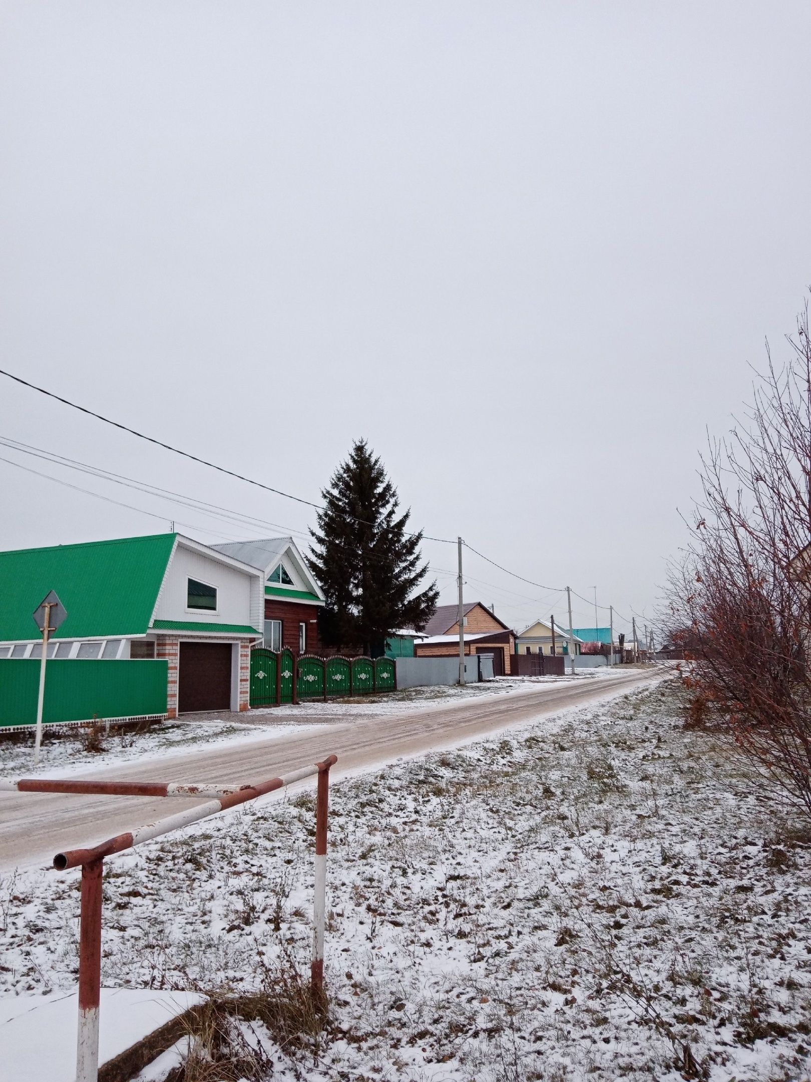 В 2023 году в Мензелинске было спилено 60 аварийных деревьев