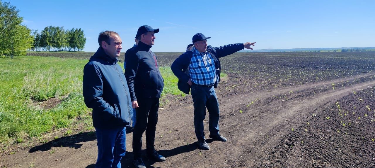 Минзәлә район башлыгы Айдар Салахов: «Терлек симертергә теләүчеләр өчен мөмкинлекләр җитәрлек»