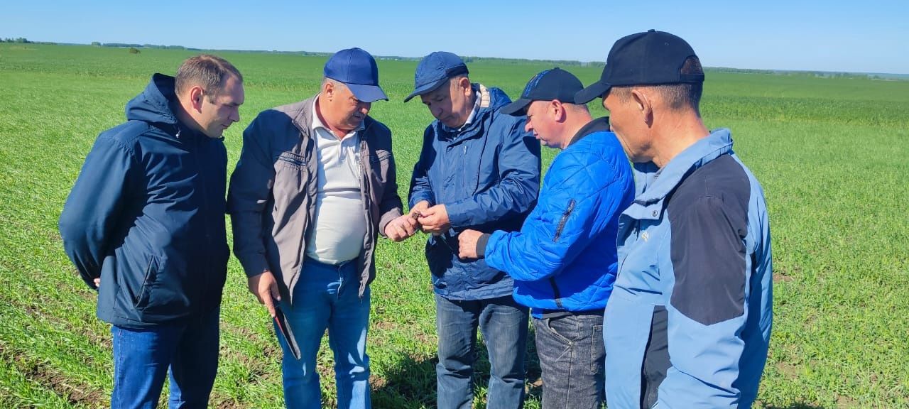 Минзәлә район башлыгы Айдар Салахов: «Терлек симертергә теләүчеләр өчен мөмкинлекләр җитәрлек»