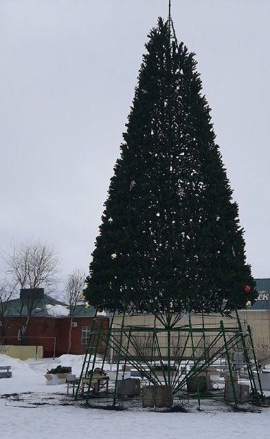 В Мензелинске приступили к разбору центральной новогодней елки