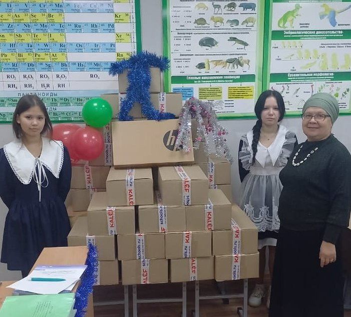 Победа в гранте принесла мензелинской гимназии современную химическую лабораторию