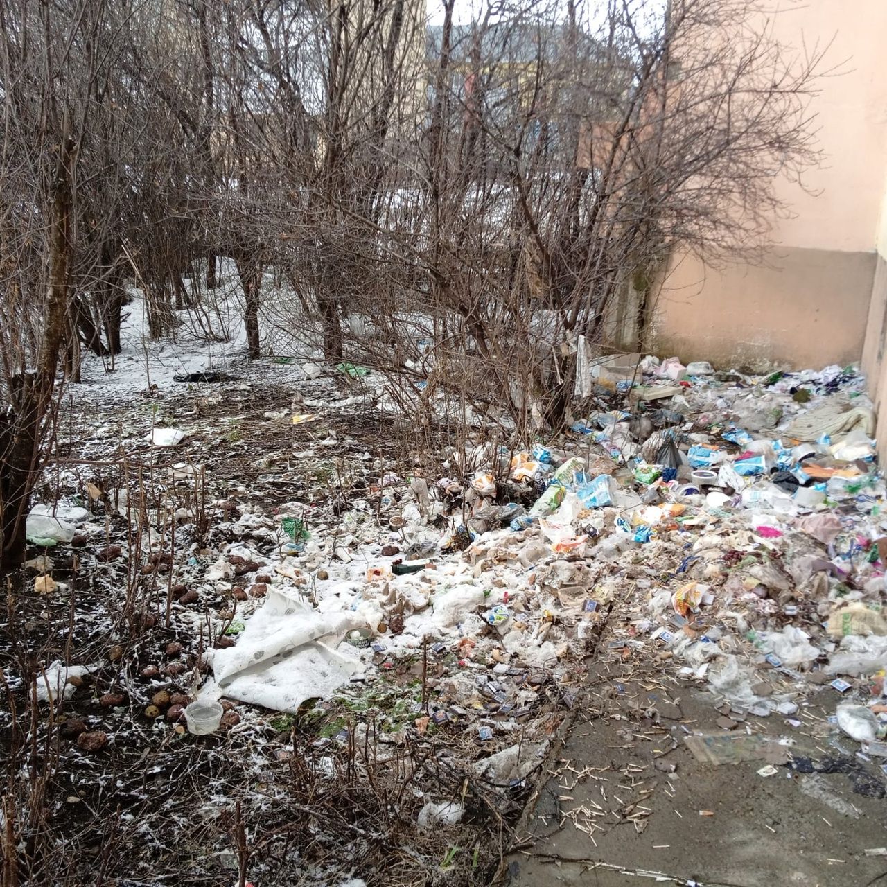 Жители многоквартирного дома города Мензелинска устроили свалку за домом