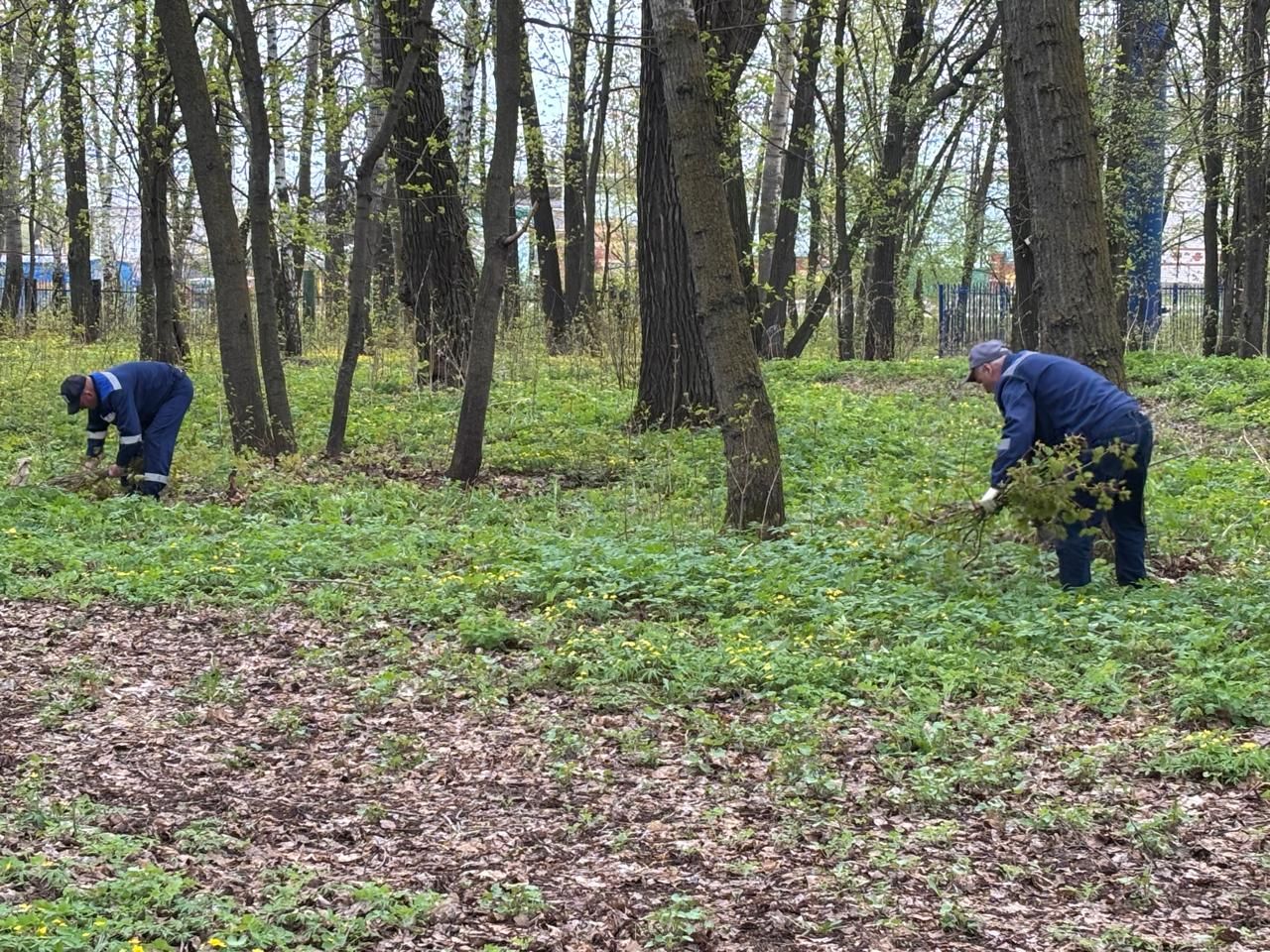 Чистый парк — достойная встреча Дня Победы