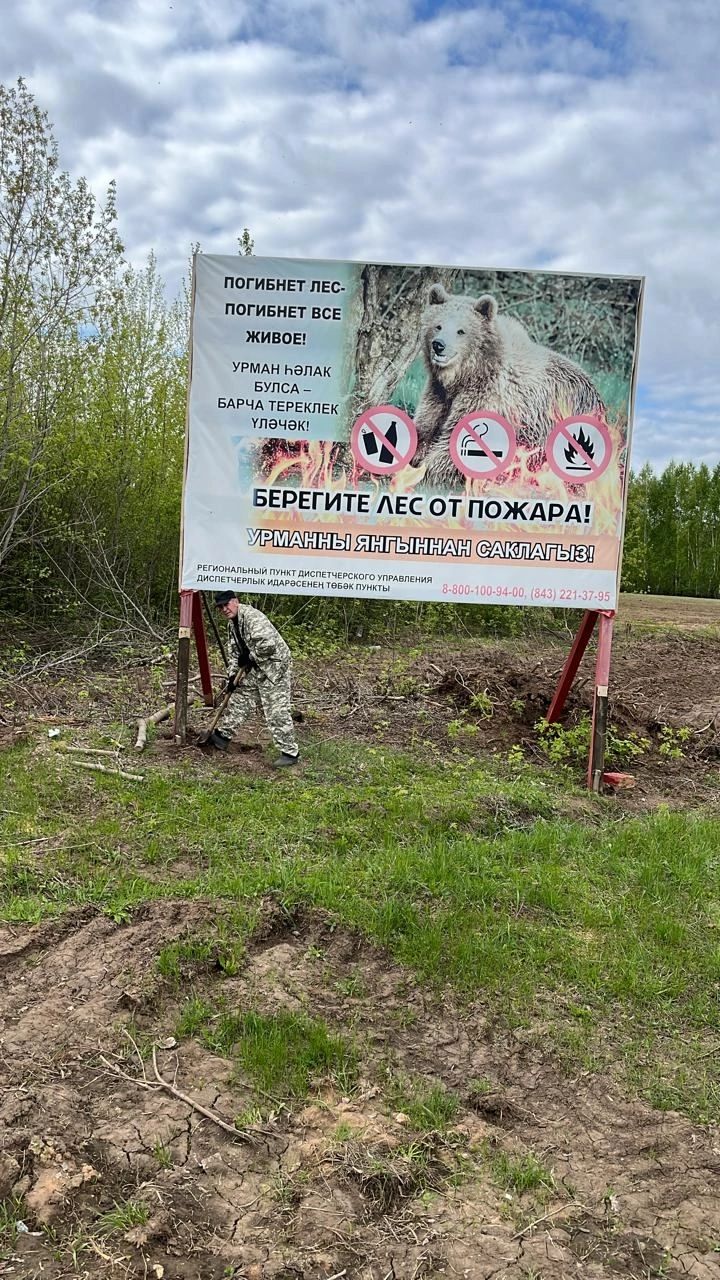 Мензелинское лесничество продолжает очистку территории лесного фонда