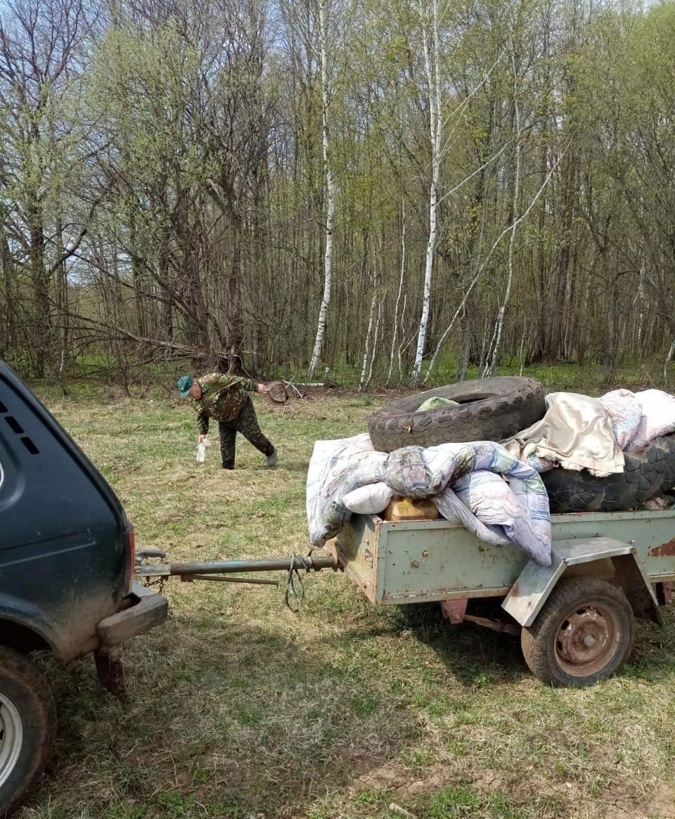 Мензелинское лесничество продолжает очистку территории лесного фонда