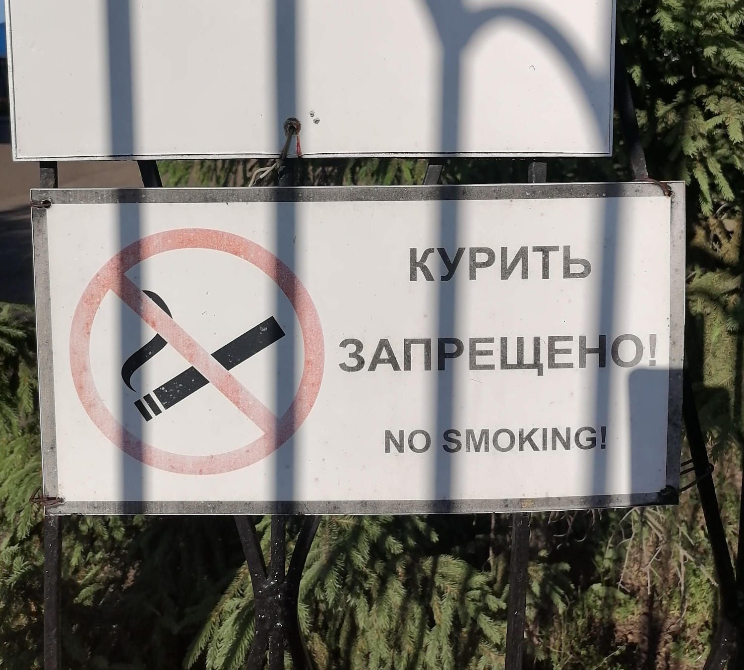 Курение и его вред для здоровья: почему важно отказаться от сигарет