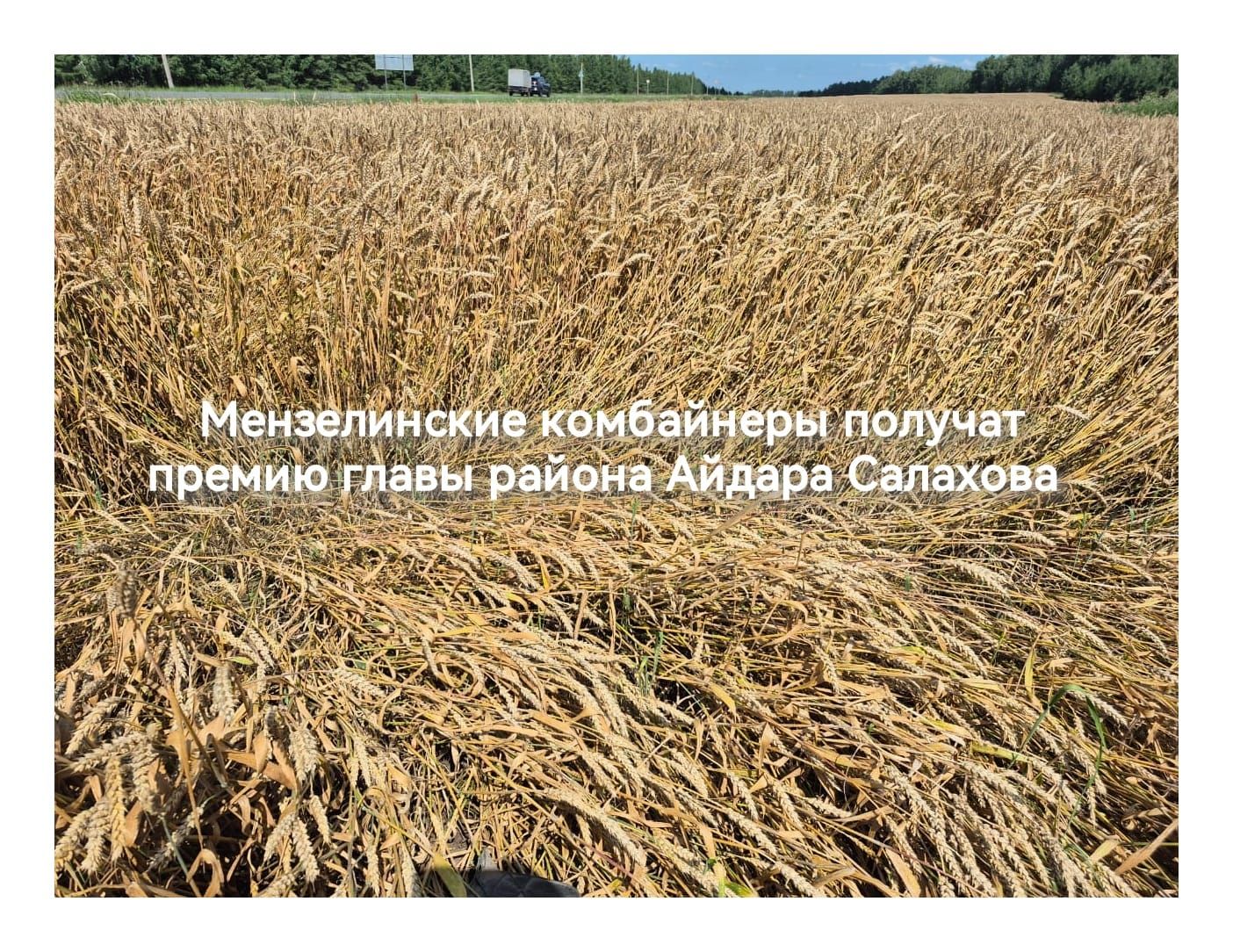 Мензелинские комбайнеры получат премию главы района Айдара Салахова