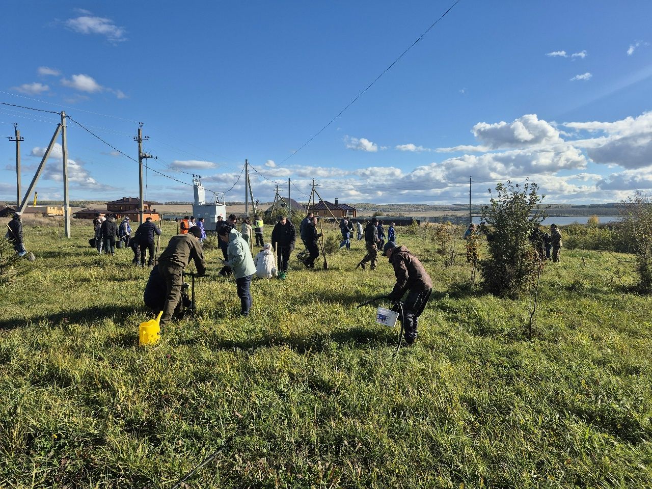 В  Мензелинске посадка деревьев стала красивой традицией