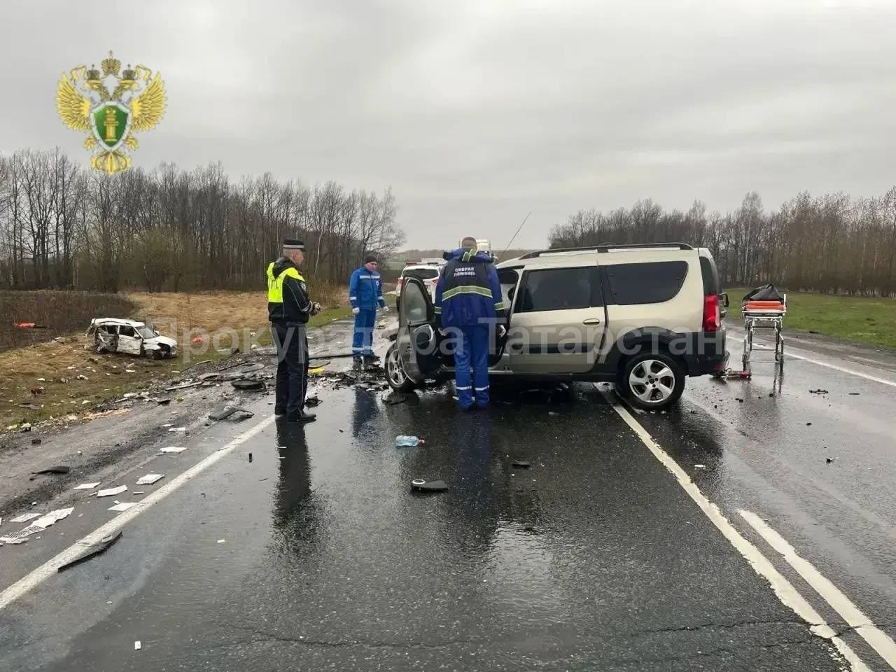 В Чистопольском районе произошло смертельное ДТП