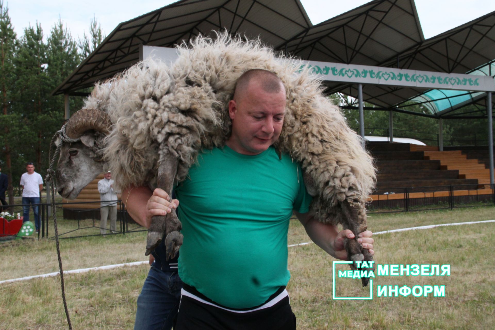 Победители и призеры мензелинского Сабантуя-2023 по национальной борьбе корэш