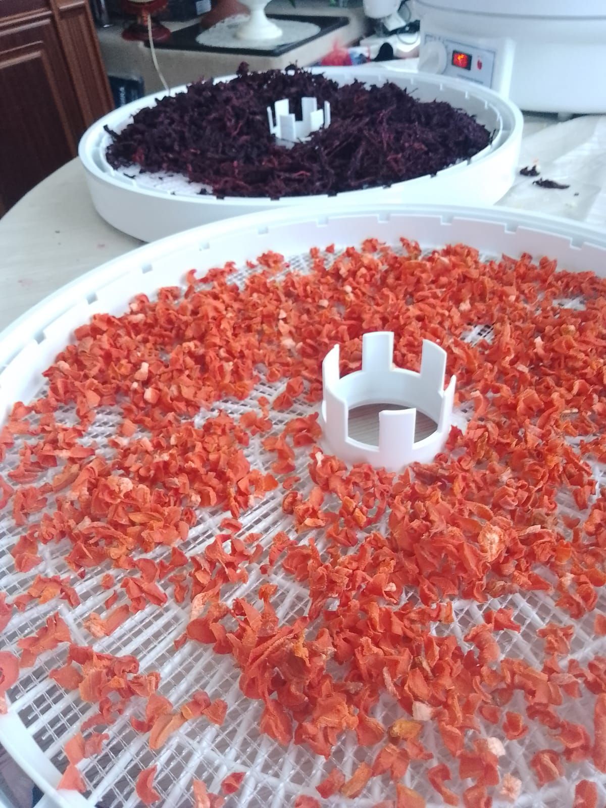 Жители села Коноваловка организовали масштабную сушку овощей для защитников Отечества