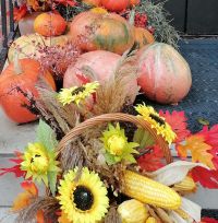 Овощи и фрукты: сколько есть для здоровья и долголетия?