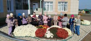 Маленькие садоводы из детского сада «Шатлык» вырастили цветочную красоту