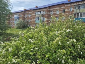 Минзәлә урамнары чәчәккә күмелеп утыра
