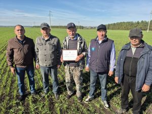 Минзәлә районында ике агрономга Мактау тактасына керү турында таныклык тапшырылды