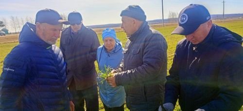 Глава Мензелинского района Айдар Салахов осмотрел поля