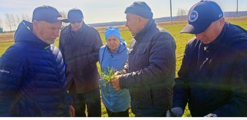 Глава Мензелинского района Айдар Салахов осмотрел поля