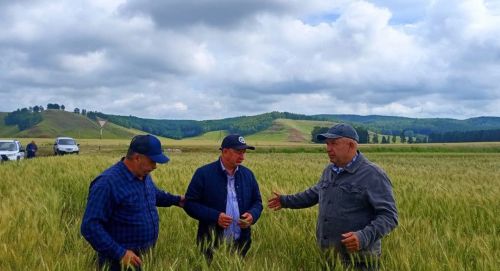 Основная тема — подготовка к республиканскому семинару-соревнованию операторов машинного доения