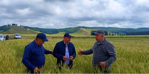 Основная тема — подготовка к республиканскому семинару-соревнованию операторов машинного доения