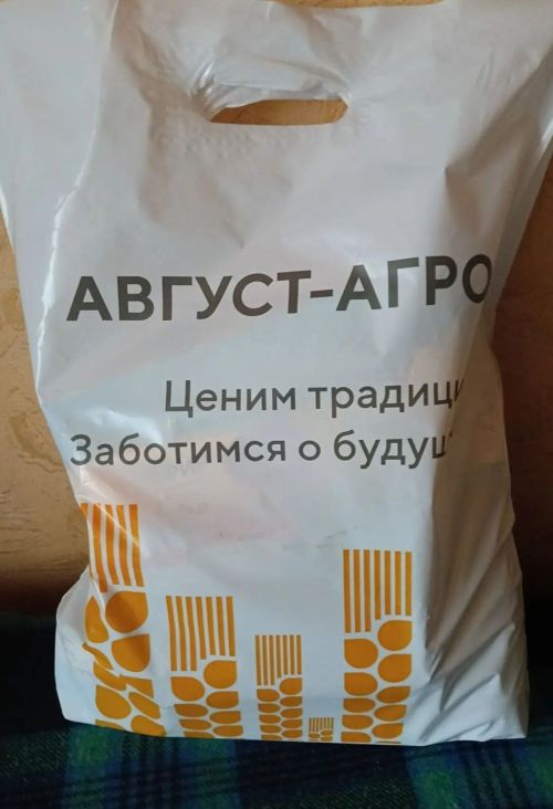 В рамках Декады пожилых людей в Мензелинске было проявлено  внимание к старшему поколению