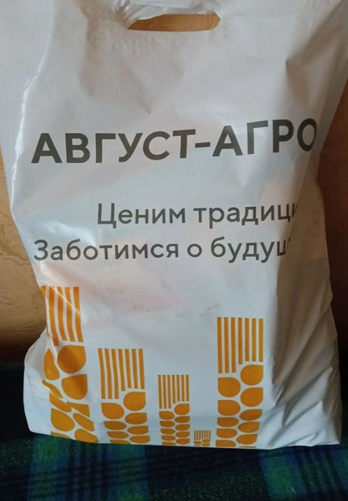 Өлкәннәр декадасында Минзәләдә өлкәннәргә ихтирамлы игътибар күрсәтелде