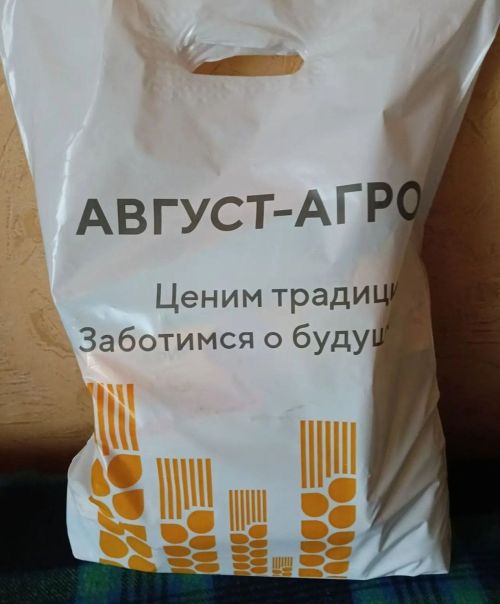 В рамках Декады пожилых людей в Мензелинске было проявлено  внимание к старшему поколению