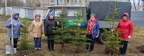 В Татарстане с 25 апреля высадят более миллиона деревьев в рамках акции «Сад памяти»