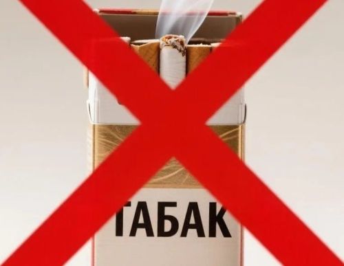 Вред курения для организма: почему опасно курить сигареты, вейпы и кальяны