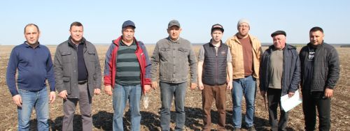 Озимые перезимовали успешно: Айдар Салахов осмотрел поля хозяйств района