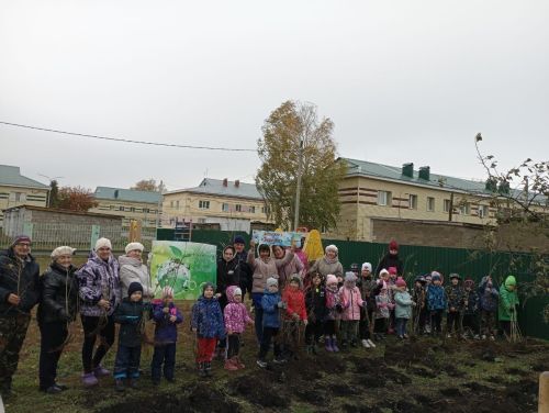 В детском саду «Березка» прошла экологическая акция «Посади дерево»