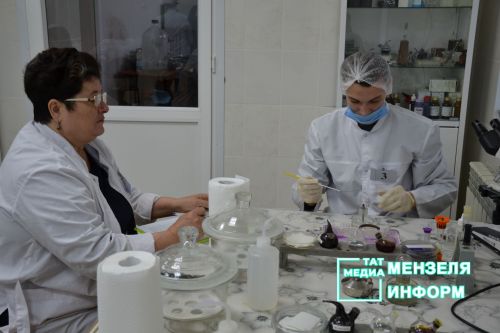 Булачак ветеринарлар эш урыннарын бүген үк беләләр
