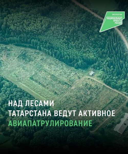 В лесах Татарстана ведётся авиапатрулирование
