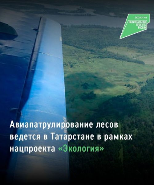 В лесах Татарстана ведётся авиапатрулирование