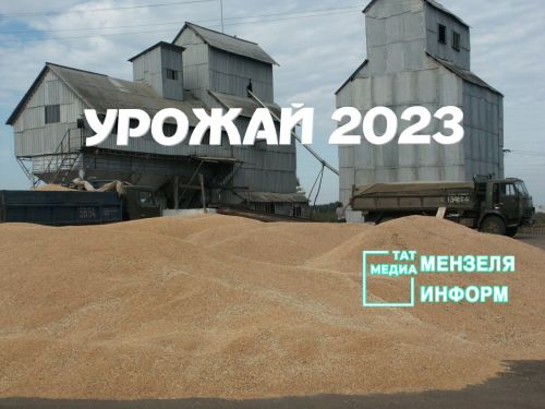 Минзәлә районында уракның 38 проценты төгәлләнде