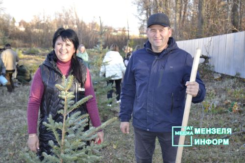 150 саженцев голубой ели появились в Мензелинске