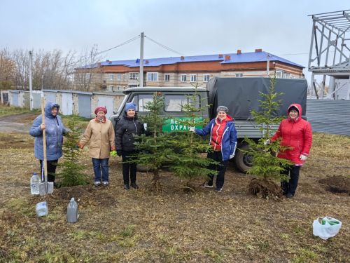 Руководители ТОС Мензелинска посадили саженцы деревьев