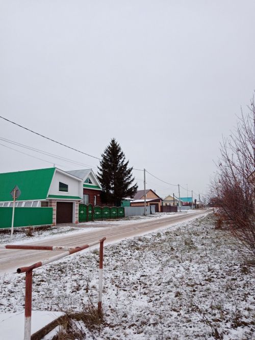 В 2023 году в Мензелинске было спилено 60 аварийных деревьев