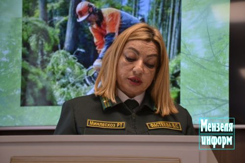 Минзәләдә урман фонды эшкәртелмәгән җирләр хисабына артачакмы?