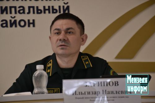 Минзәләдә урман фонды эшкәртелмәгән җирләр хисабына артачакмы?