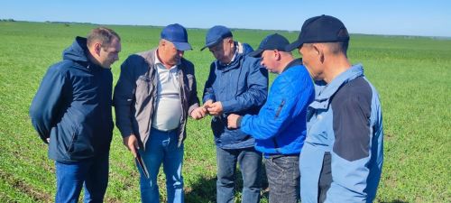 Минзәлә район башлыгы Айдар Салахов: «Терлек симертергә теләүчеләр өчен мөмкинлекләр җитәрлек»