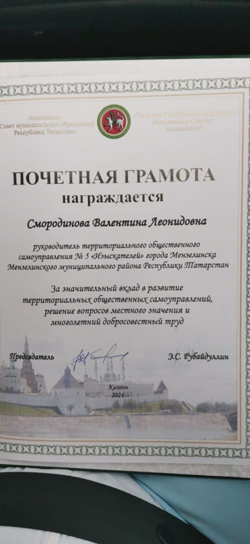Руководители территориальных общественных самоуправлений Мензелинска приняли участие в Республиканской конференции