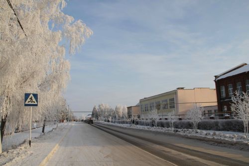 Мензелинск в цифрах