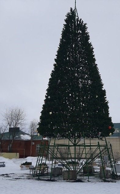 В Мензелинске приступили к разбору центральной новогодней елки