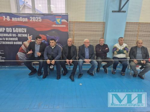 В турнире в Мензелинске, посвященном 80-летию Великой Победы, принимают участие более 40 боксеров