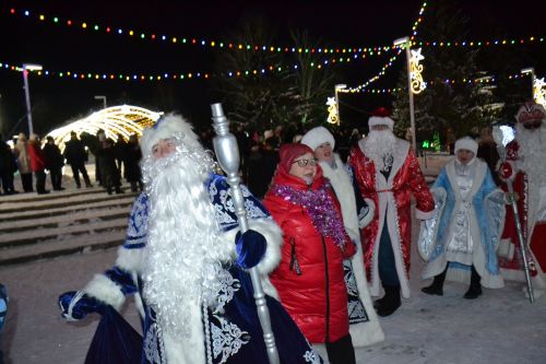 В парке имени Мусы Джалиля Мензелинска состоялось торжественное открытие центральной елки