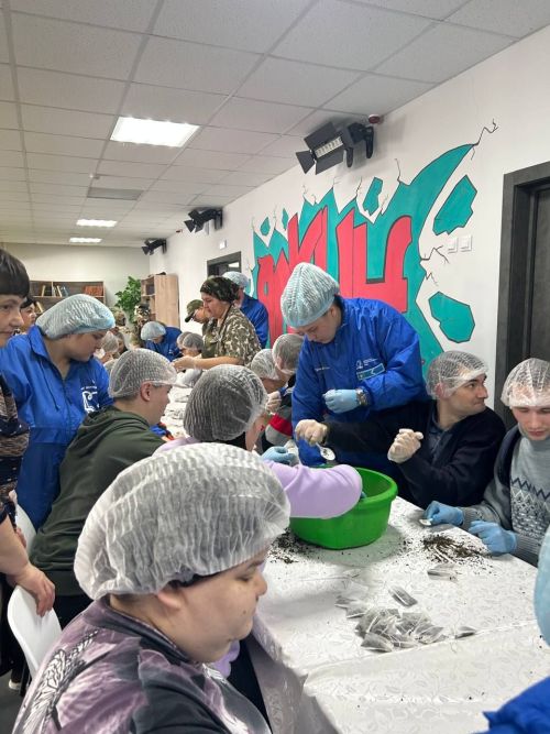 Студотряды Татарстана завершили «Снежный десант» в Мензелинском районе