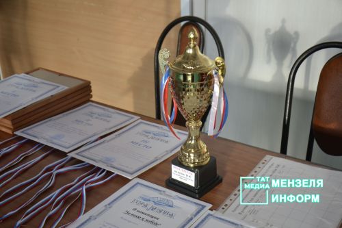 В Мензелинске состоялся спортивный праздник, посвященный Дню защитника Отечества